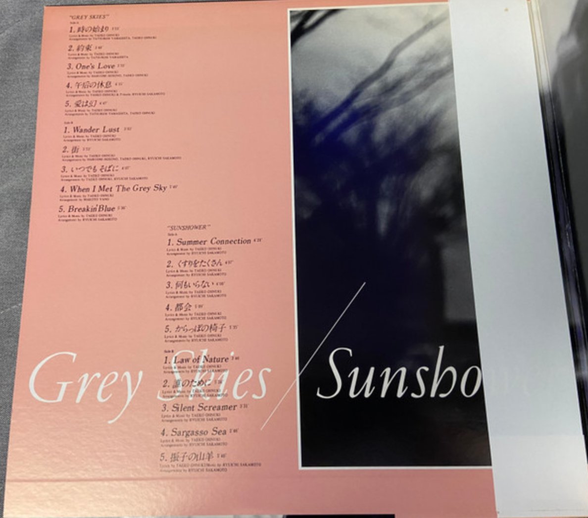 Taeko Onuki - Grey Skies / Sunshower 2LP (Japan Import) - Inner Ocean Records